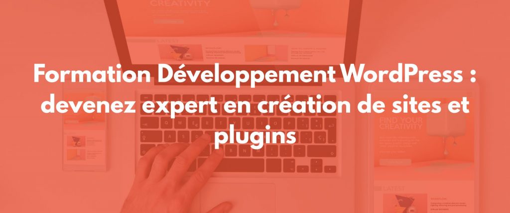 formation développement wordpress
